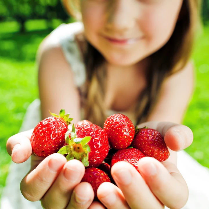 De rol van suikers? De rol van suikers?