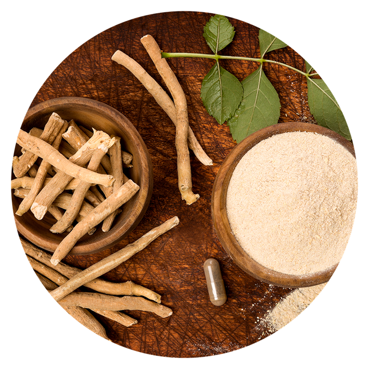 Besoin d’une dose supplémentaire d’énergie mentale ? L’Ashwagandha aide à rétablir l’équilibre de l’organisme, ce qui améliore les capacités à gérer le stress et renforce l’énergie mentale.