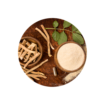 Ashwagandha Ashwagandha