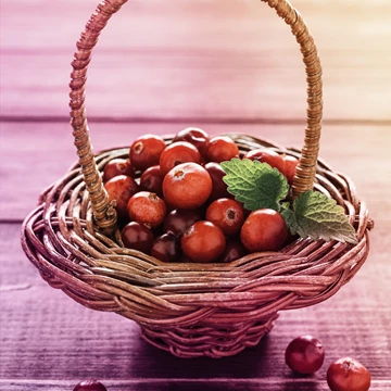 Cranberry of veenbessenextract Cranberry of veenbessenextract