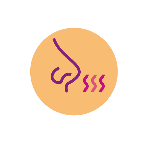 Urine ayant une odeur forte ou désagréable