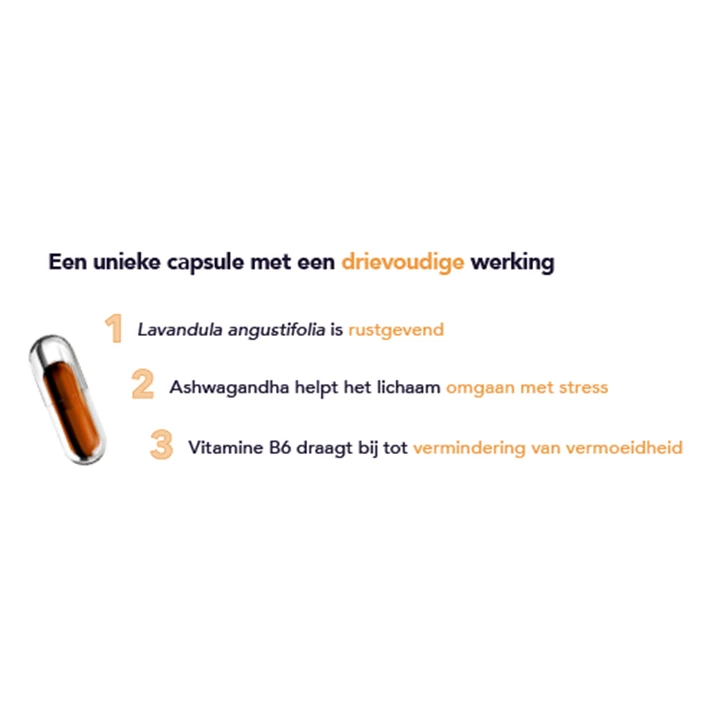 Onze snelle levensstijl leidt tot stresssymptomen zoals piekeren, hoofdpijn, concentratieproblemen, een slecht humeur, vermoeidheid en lichamelijke klachten. Onze snelle levensstijl leidt tot stresssymptomen zoals piekeren, hoofdpijn, concentratieproblemen, een slecht humeur, vermoeidheid en lichamelijke klachten.