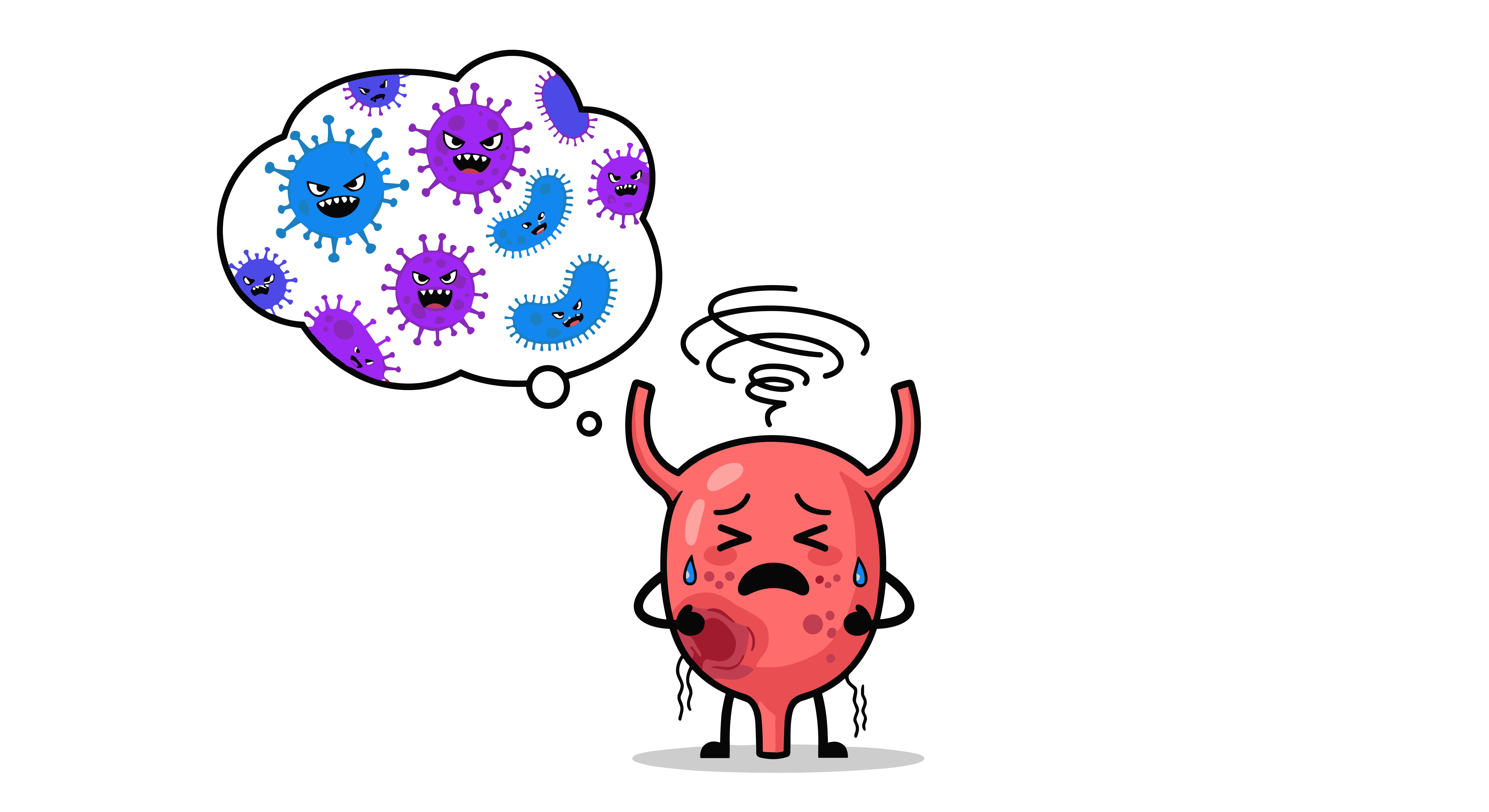 Bacteriën uit de darmen kunnen via de plasbuis in de blaas terechtkomen