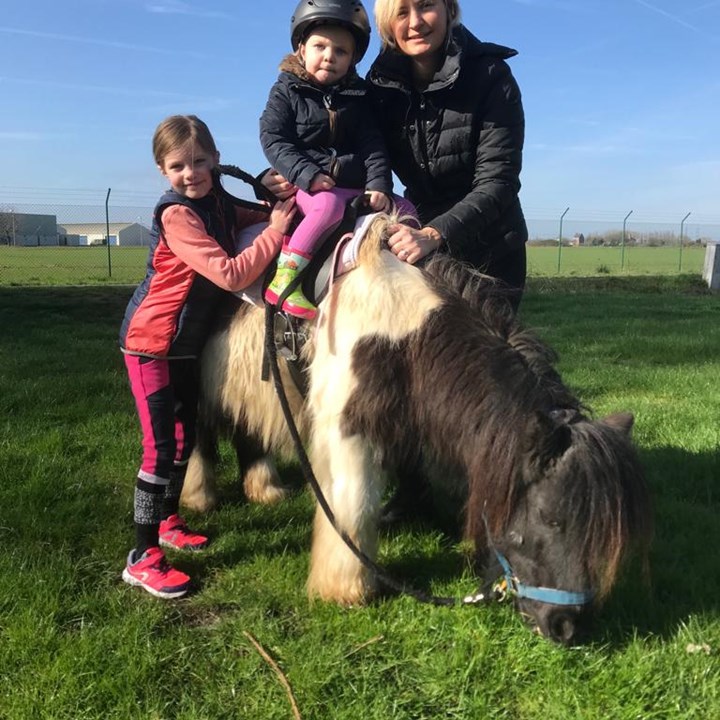 Ann laadt de batterijen op door te gaan wandelen met de paarden Ann laadt de batterijen op door te gaan wandelen met de paarden