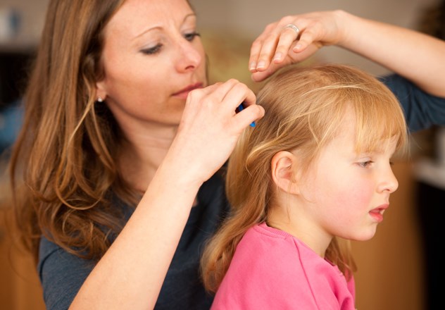 Consommateur - des poux