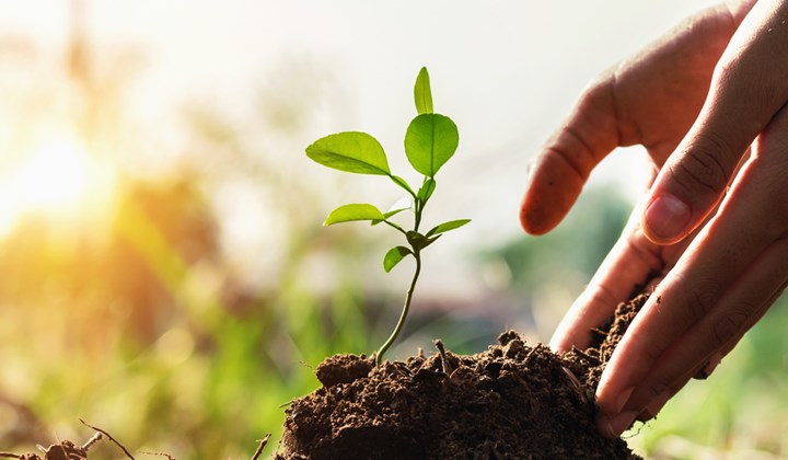 Continuer à bouger avec des solutions naturelles Continuer à bouger avec des solutions naturelles