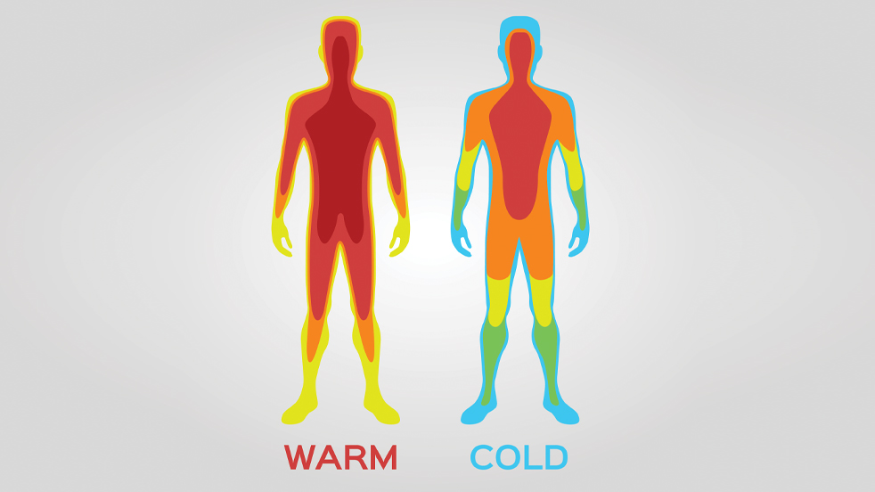 Notre peau régule la température de notre corps.