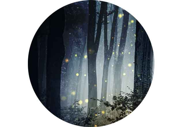 Deze 10 tips helpen je om beter te slapen.