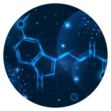 Biologische klok Onze interne biologische klok maakt op vaste tijdstippen melatonine aan.