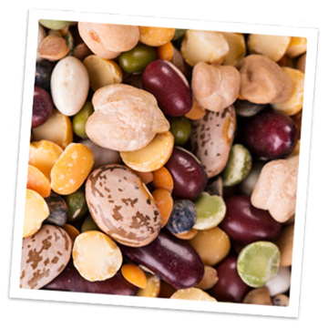 Légumineuses Magnésium dans les légumes secs