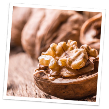 Noix et les graines Magnésium dans les noix et les graines