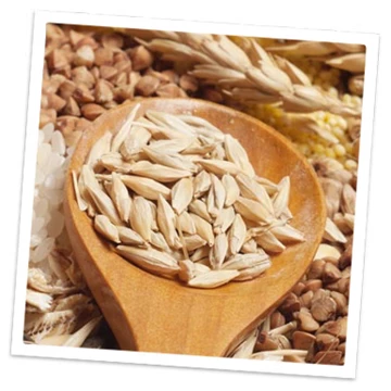 Voeding Magnesium in volkoren granen