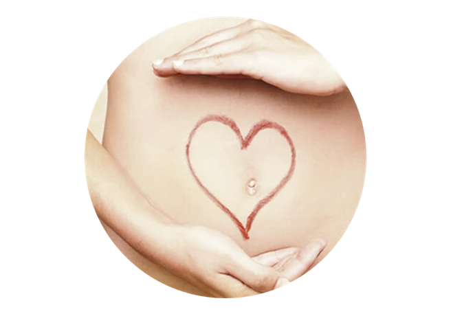 Flore intestinale saine